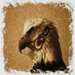 Kullanıcı avatarı